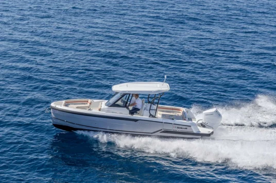 Wellcraft 28 T-Top